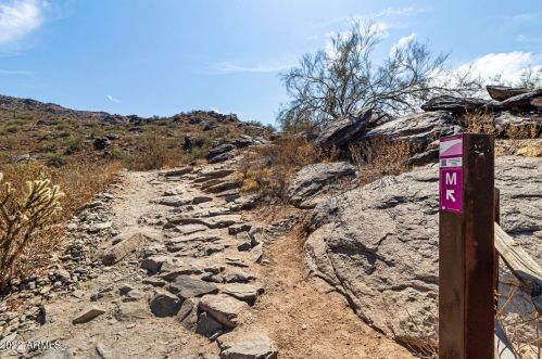 8219 25 St, Phoenix AZ 85042-7019 exterior