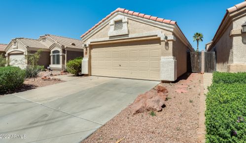 3024 Blackhawk Dr, Phoenix AZ  85050-4706 exterior