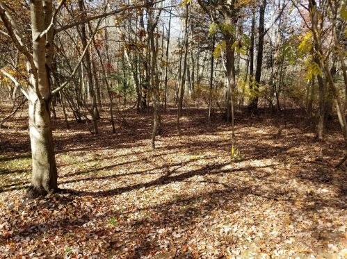 19 Charles Ct, Tinton Falls NJ 07712-7941 exterior