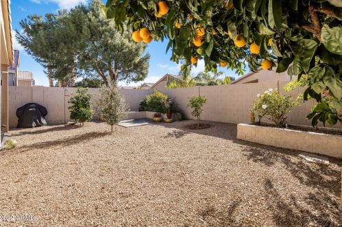 4613 Charleston Ave, Phoenix AZ 85032-9548 exterior