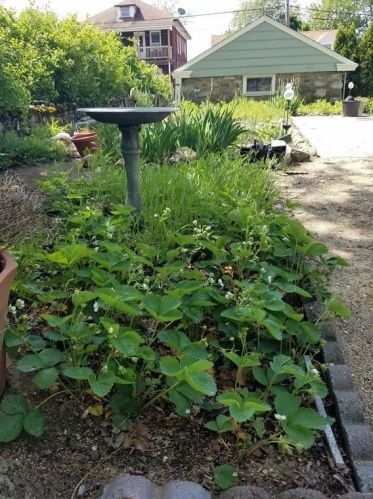 1 Merrimack St, Methuen MA 01844-7700 exterior