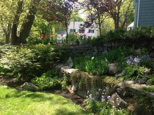 7 Monadnock Rd, Arlington MA 02476-8026 exterior