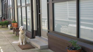 1110 Baxter Ave, Louisville KY  40204-2600 exterior