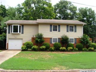 208 Cumberland Dr, Huntsville AL  35803-1079 exterior