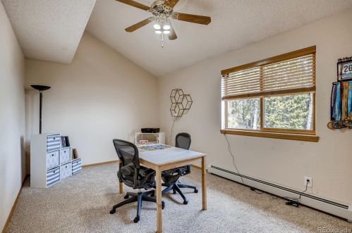 31358 Conifer Mountain Dr, Conifer CO  80433-8818 exterior