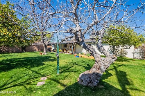 515 Alice Ave, Phoenix AZ  85020-3101 exterior