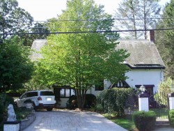 125 Aspen Ave, Newton, MA 02466-3021