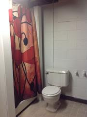 817 Nylon St, Saginaw MI  48604-2124 exterior