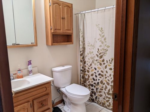 1206 Water St, Swygert IL 61764-2019 exterior