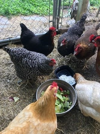 1 Assabet Xing, Acton MA 01720-5237 exterior