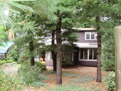 50 Plainfield St, Newton, MA 02468-1618