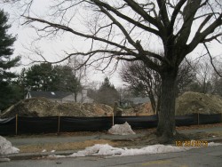 69 Karen Rd, Newton, MA 02468-1123