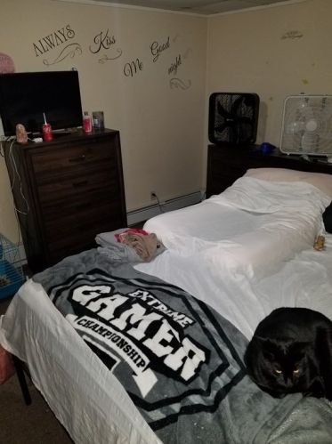 41 Donnelly St, Fall River MA 02723 exterior