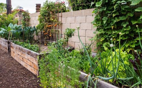 7 Ninos, Irvine CA 92620-1861 exterior