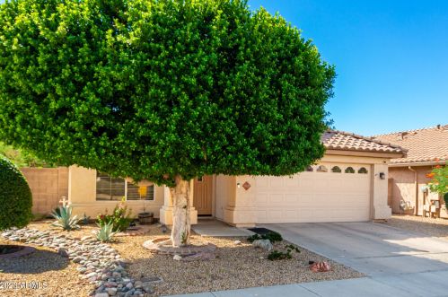 2029 Angela Dr, Phoenix AZ 85032-2351 exterior