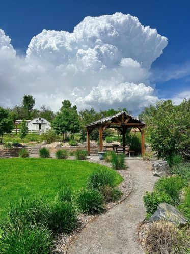 7255 61 Ave, Arvada CO 80003-5309 exterior