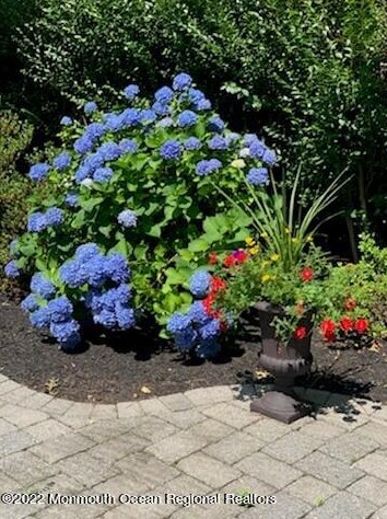 4 Laurel Dr, Little Silver NJ 07739-1416 exterior