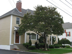 17 Cherry Pl, Newton, MA 02465-1505