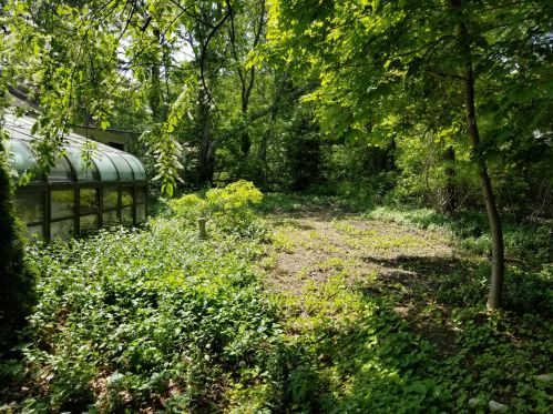 41 Buttonwood Rd, Harwich MA 02645-1825 exterior