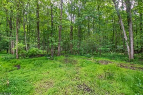 440 Stonetown Rd, Skyline Lakes NJ  07456-1200 exterior