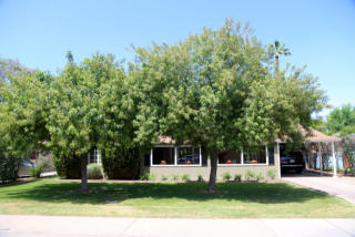 524 San Juan Ave, Phoenix AZ  85012-1333 exterior