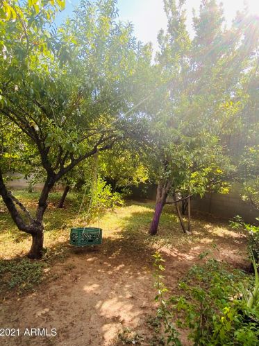 4109 Catalina Dr, Phoenix AZ 85031-3841 exterior