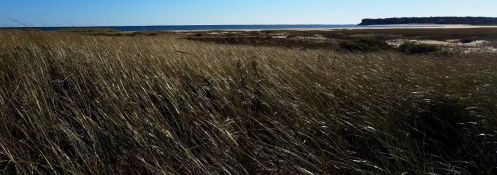 65 Morris Is Rd, Chatham MA 02633-2526 exterior