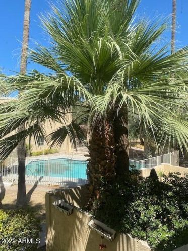 6236 16th St, Phoenix AZ  85016-1730 exterior