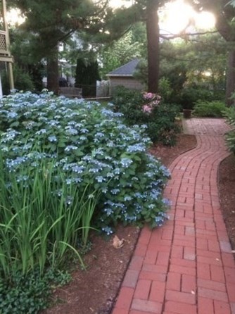 147 Highland Ave, Arlington MA 02476-7846 exterior