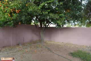 510 Marconi Ave, Phoenix, AZ 85023-7446