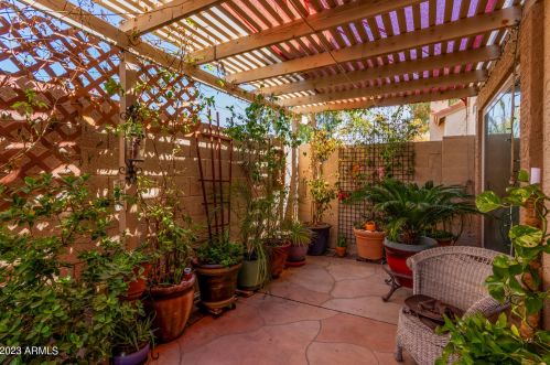 13639 42 Pl, Phoenix AZ 85032-2231 exterior