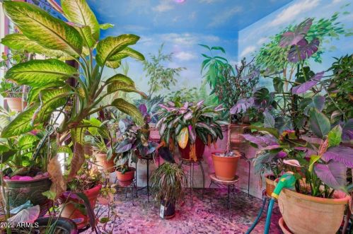 33807 4 Dr, Phoenix AZ 85045-0464 exterior