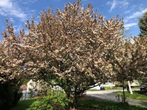 9 Christy Ct, Worcester MA exterior