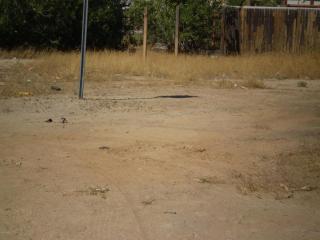 2202 Nancy Ln, Phoenix, AZ 85041-5315