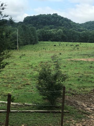 7580 Turkey Nck Bnd, Tompkinsville KY  42167 exterior