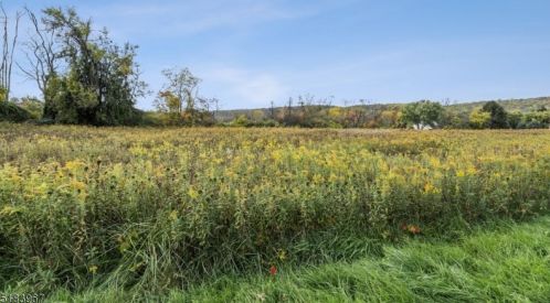 4 Pheasant Ln, Milford NJ  08848-1554 exterior