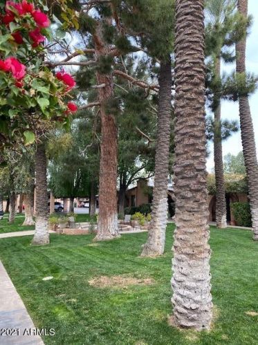 3022 32nd St, Phoenix AZ 85018-6867 exterior