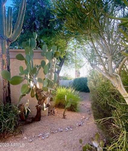 10438 45 Pl, Phoenix AZ 85050-8555 exterior