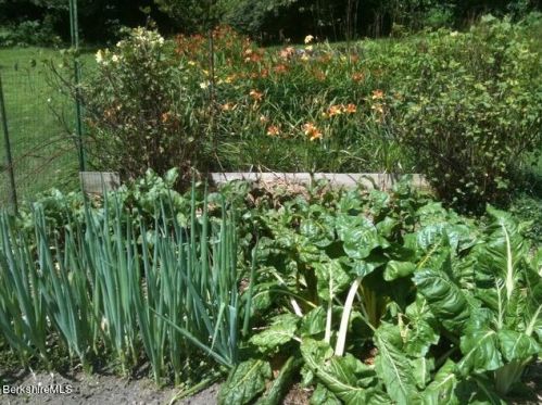 386 Oblong Rd, Williamstown MA 01267-3039 exterior