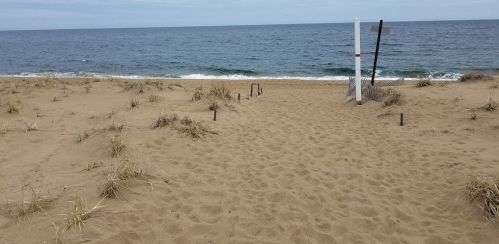 51 Northern Blvd, Newbury MA  01951-1523 exterior