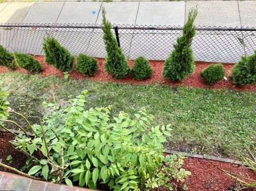 249 Griffin St, Fall River MA 02724-2735 exterior