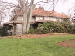 260 Waverley Ave, Newton, MA 02458-2422