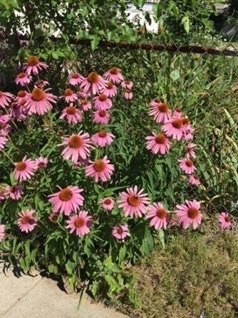 123 Locust St, New Bedford MA 02740-4506 exterior