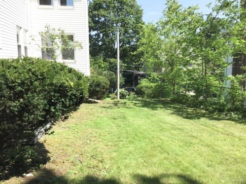 95 Ripley St, Newton MA 02459-2207 exterior