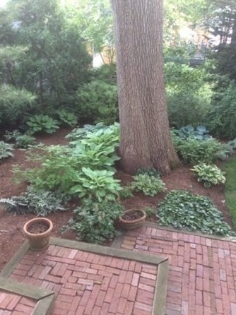 147 Highland Ave, Arlington MA 02476-7846 exterior