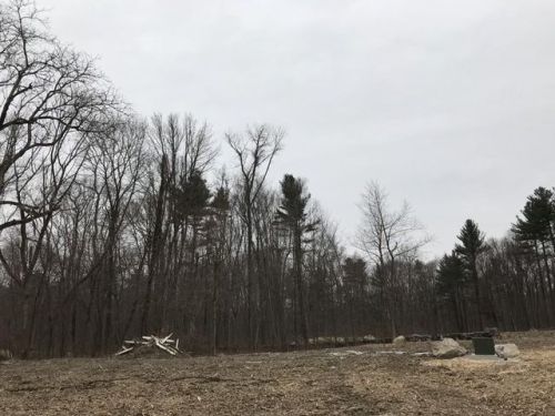 437 Main St, Shrewsbury, MA 01545-2207