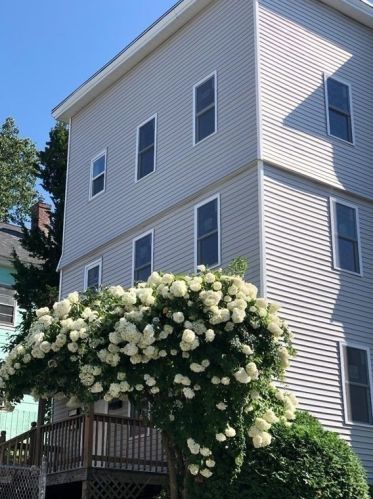 38 Columbia St, Worcester MA  01604-4330 exterior