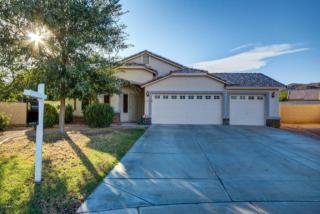 1739 Alicia Dr, Phoenix AZ  85042-7030 exterior