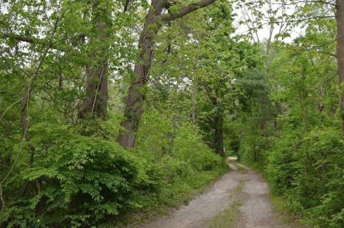 165 Norton Ave, Taunton, MA 02780-1284