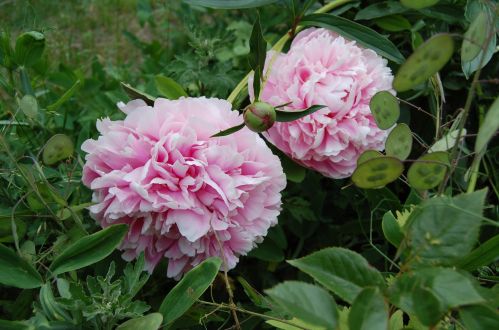 164 Samoset Rd, Eastham MA 02642-3144 exterior